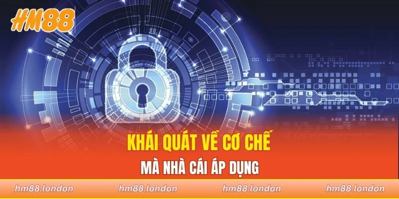 Khái quát về cơ chế mà nhà cái áp dụng
