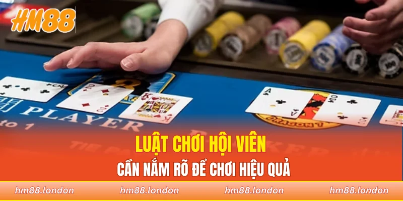 Luật chơi hội viên cần nắm rõ để chơi hiệu quả