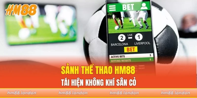 Sảnh thể thao HM88 tái hiện không khí sân cỏ