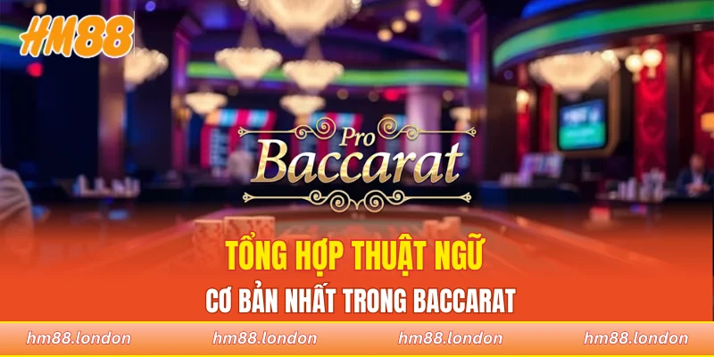 Tổng hợp thuật ngữ cơ bản nhất trong baccarat